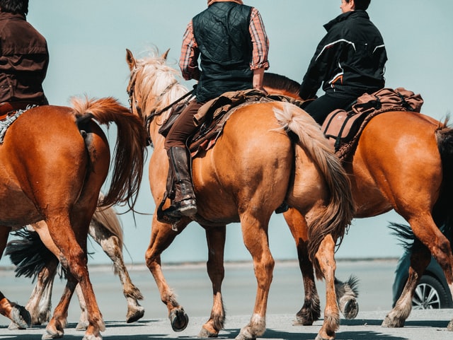 English vs. Western Horseback Riding